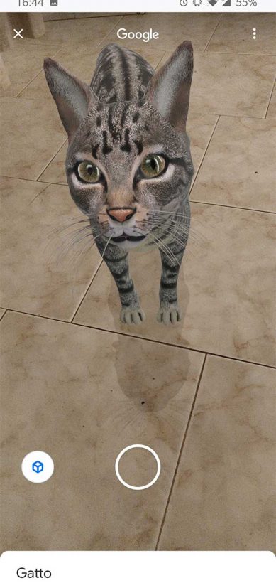 google-animali-in-ar